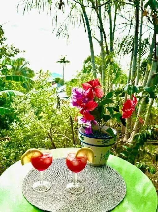 Ti Sucrier Jaune - Douceur Caraibe Vue Mer 0*, Le Carbet Martinique