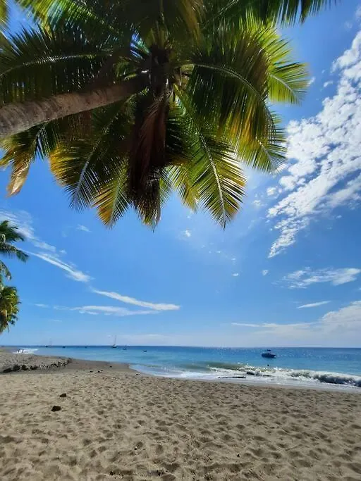 Ti Sucrier Jaune - Douceur Caraibe Vue Mer Holiday home Le Carbet
