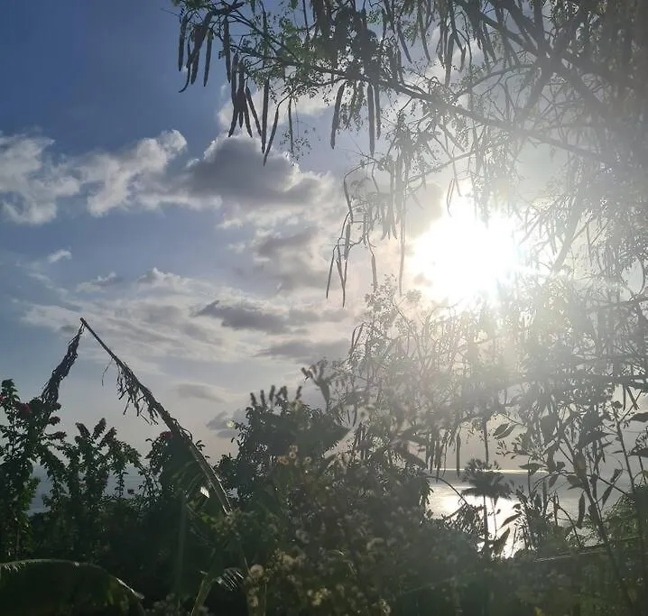 Ti Sucrier Jaune - Douceur Caraibe Vue Mer Le Carbet