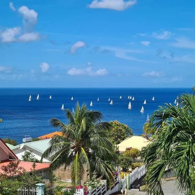 Ti Sucrier Jaune - Douceur Caraibe Vue Mer 0*, Le Carbet