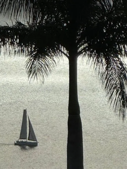 Ti Sucrier Jaune - Douceur Caraibe Vue Mer Le Carbet