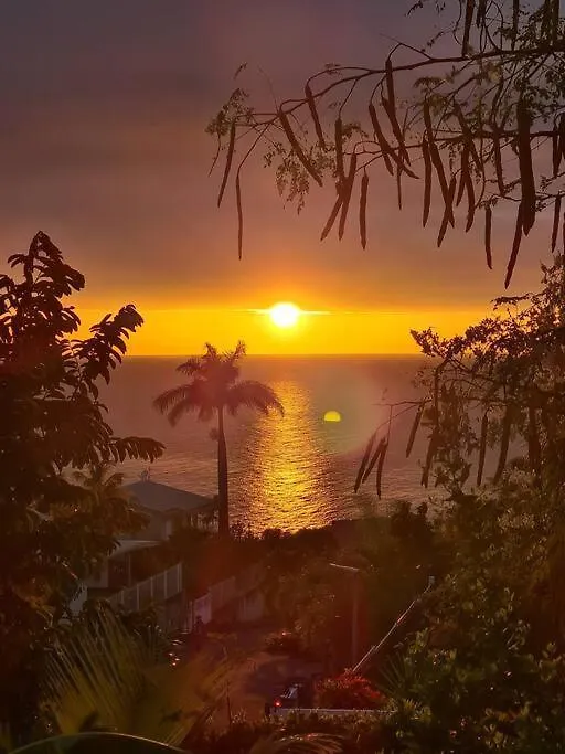 Ti Sucrier Jaune - Douceur Caraibe Vue Mer